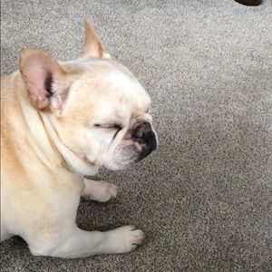 Meet your Posher, Sophia